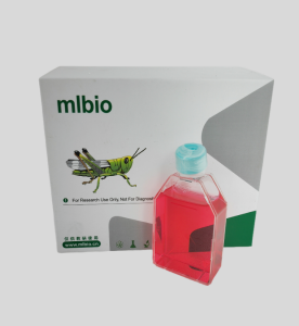 MDBK(NBL-1)牛肾细胞主图