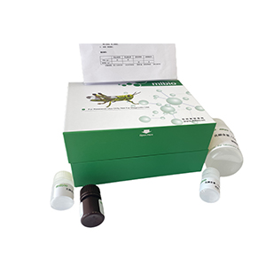 甘露糖-6-磷酸(D-Mannose-6-phosphate，M6P)含量测定试剂盒分光法/48样主图