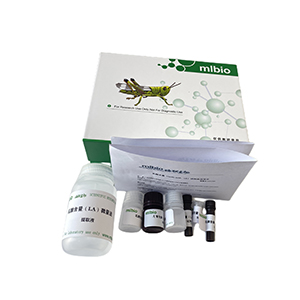 甘露糖-6-磷酸(D-Mannose-6-phosphate，M6P)含量测定试剂盒微板法/96样主图