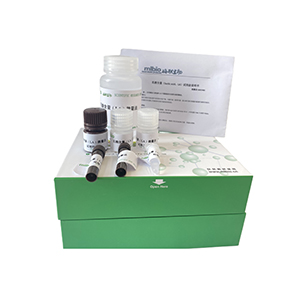 乳果糖(Lactulose)含量试剂盒微板法/24样主图
