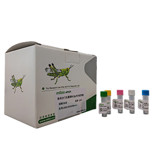 蘋果花葉病毒探針法qRT-PCR試劑盒(不含內(nèi)參)主圖