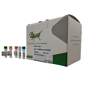 弓形桿菌屬通用探針?lè)╭PCR試劑盒(不含內(nèi)參)主圖