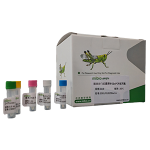 椰子紅環(huán)腐線蟲探針法qPCR試劑盒(不含內(nèi)參)主圖