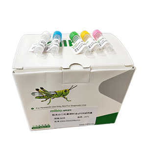 ?？虏《?0型探针法qRT-PCR试剂盒(不含内参)主图