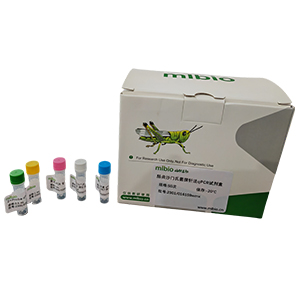 人IL-6(白细胞介素6)基因174 GC点突变探针法qPCR检测试剂盒(不含内参)主图
