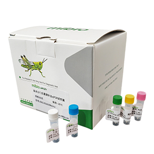 甲型流感(禽流感)病毒H4探针法qRT-PCR试剂盒(不含内参)主图